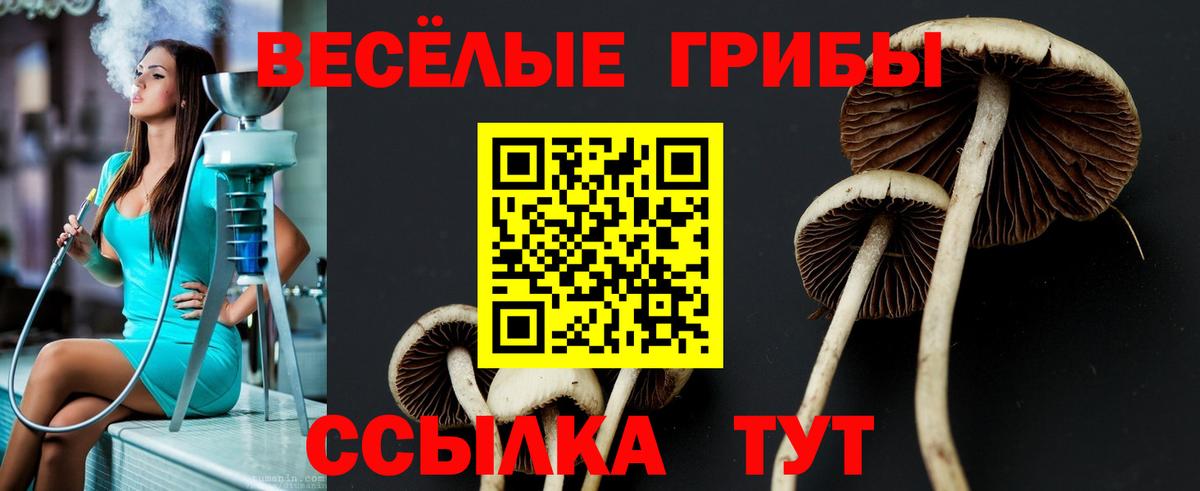 Псилоцибиновые грибы Magic Shrooms  Вход с VPN  Екатеринбург 